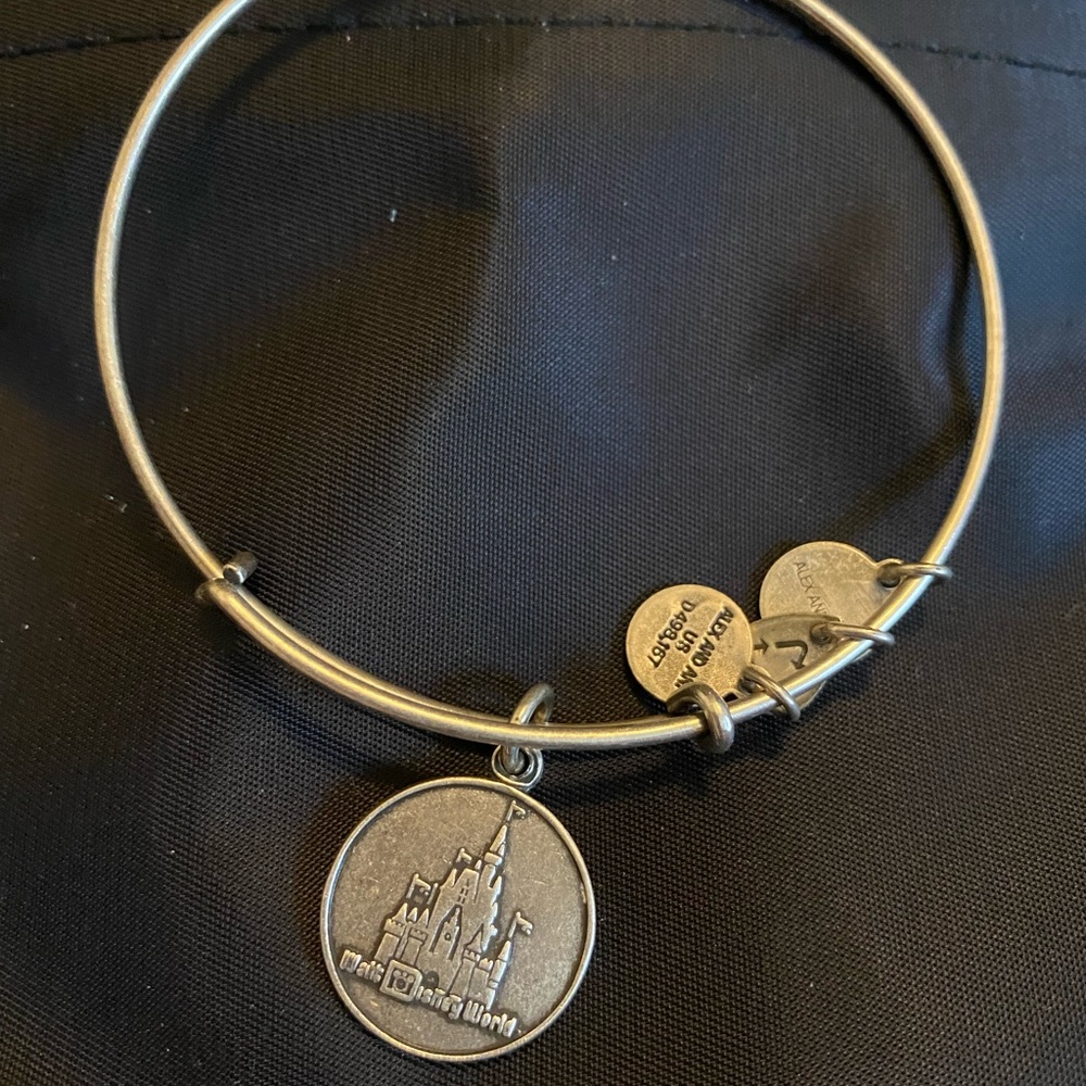 Alex and Ani Disney world Cinderella’s castle